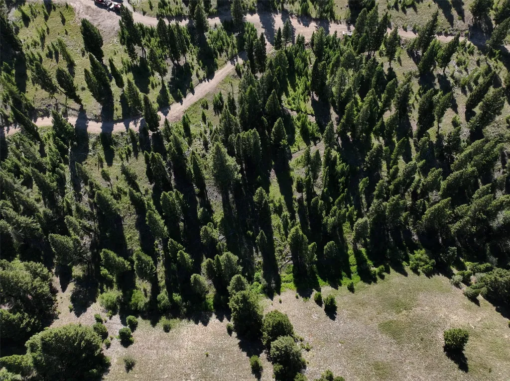 Tbd B Chimney Lakes Road Helmville MT 59843