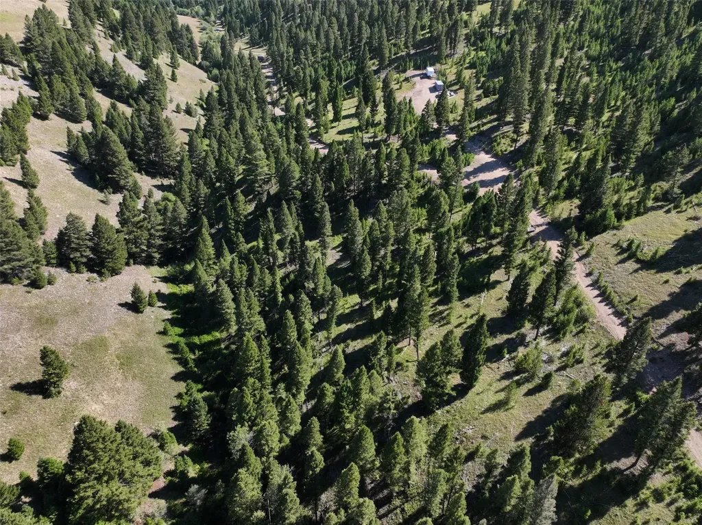 Tbd B Chimney Lakes Road Helmville MT 59843