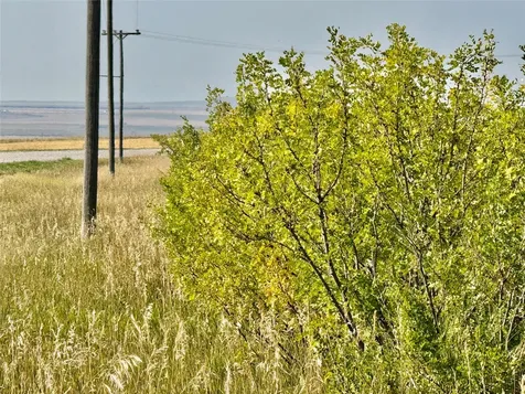 NHN W Fergus Avenue Moore MT 59464