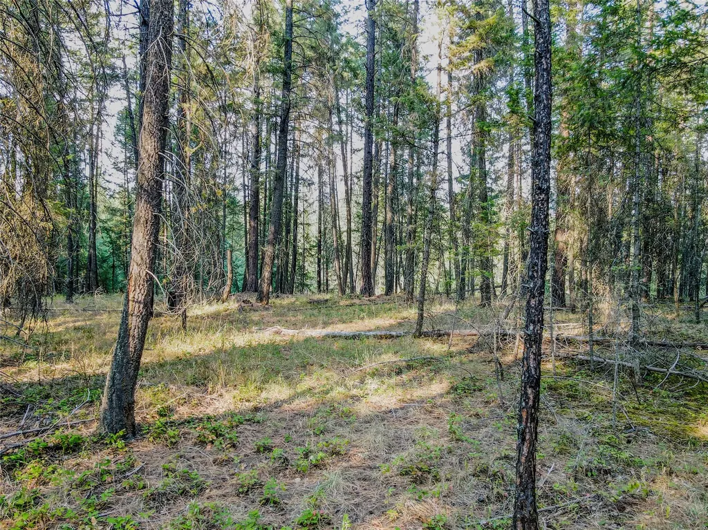 Nhn Ramona Drive Libby MT 59923