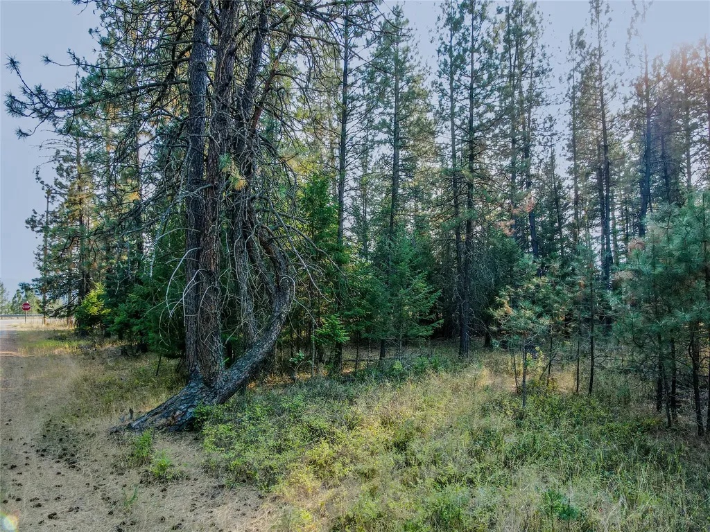 Nhn Ramona Drive Libby MT 59923