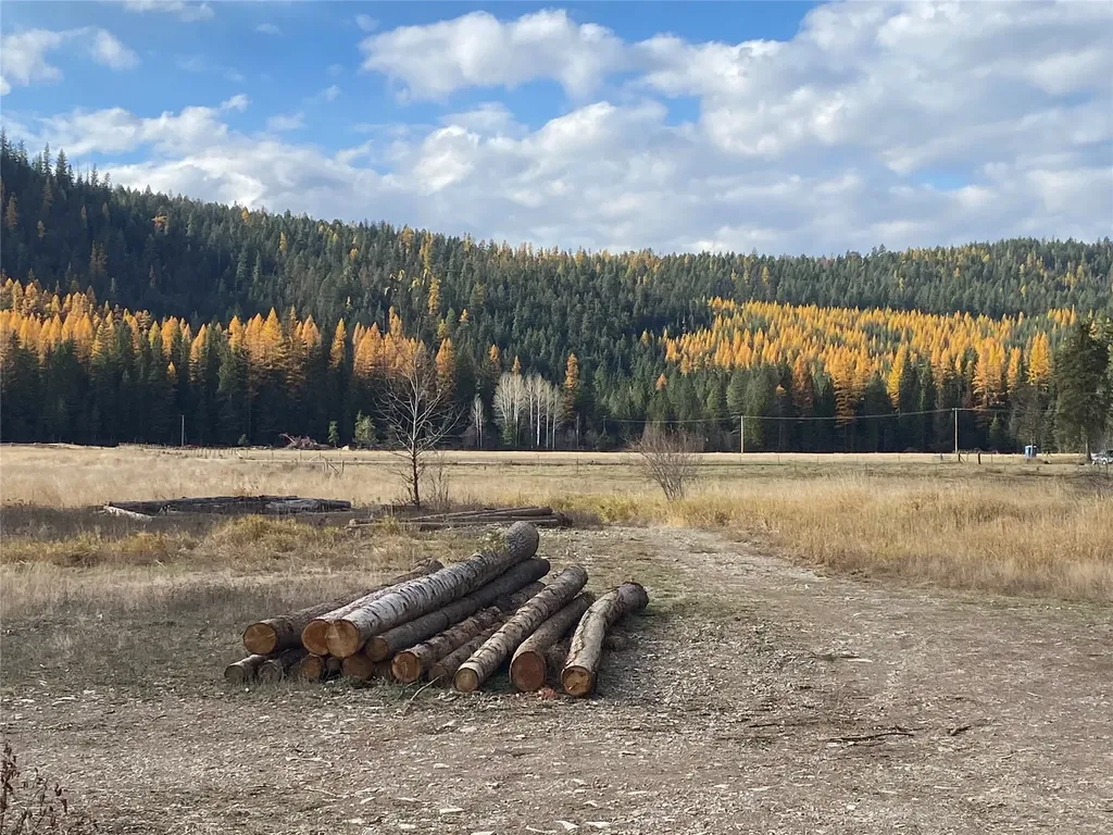2398 Pine Creek Road Yaak MT 59935