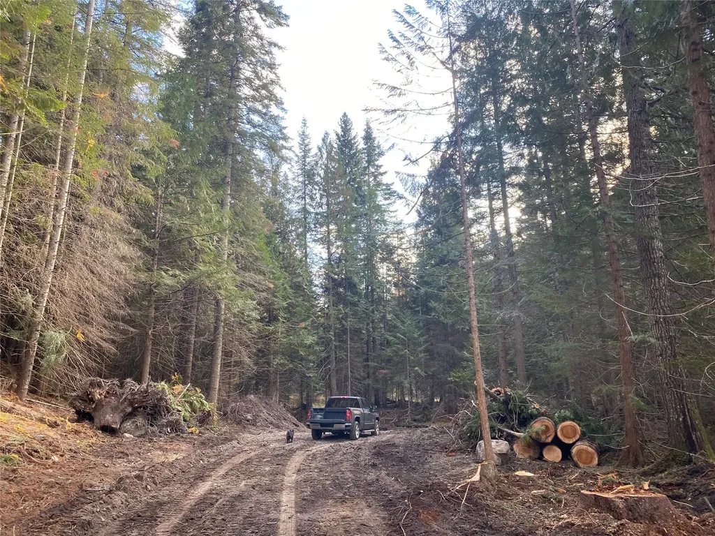 2398 Pine Creek Road Yaak MT 59935