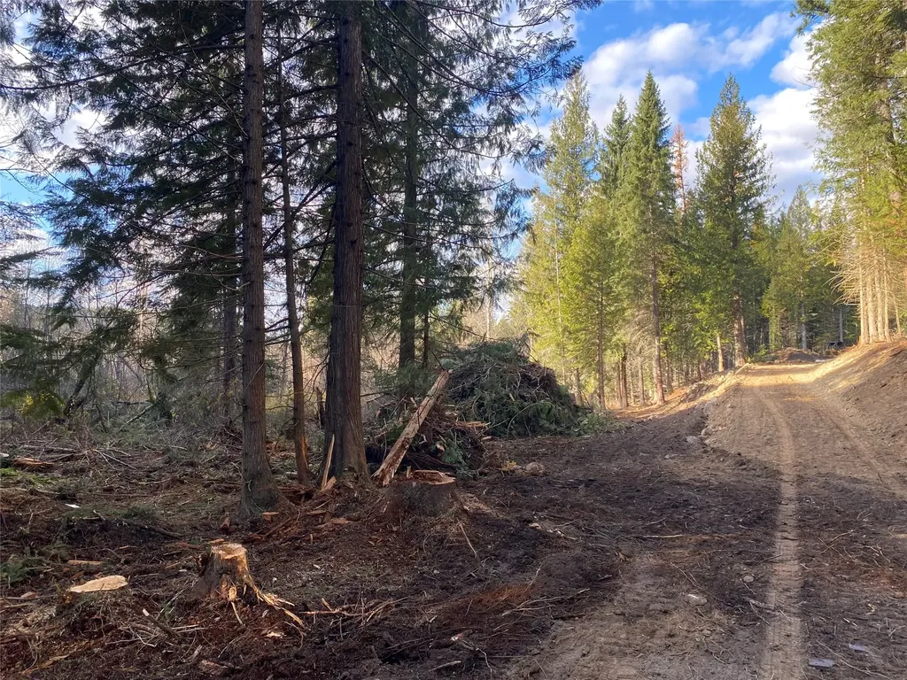 2398 Pine Creek Road Yaak MT 59935