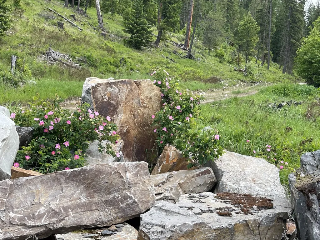 2398 Pine Creek Road Yaak MT 59935