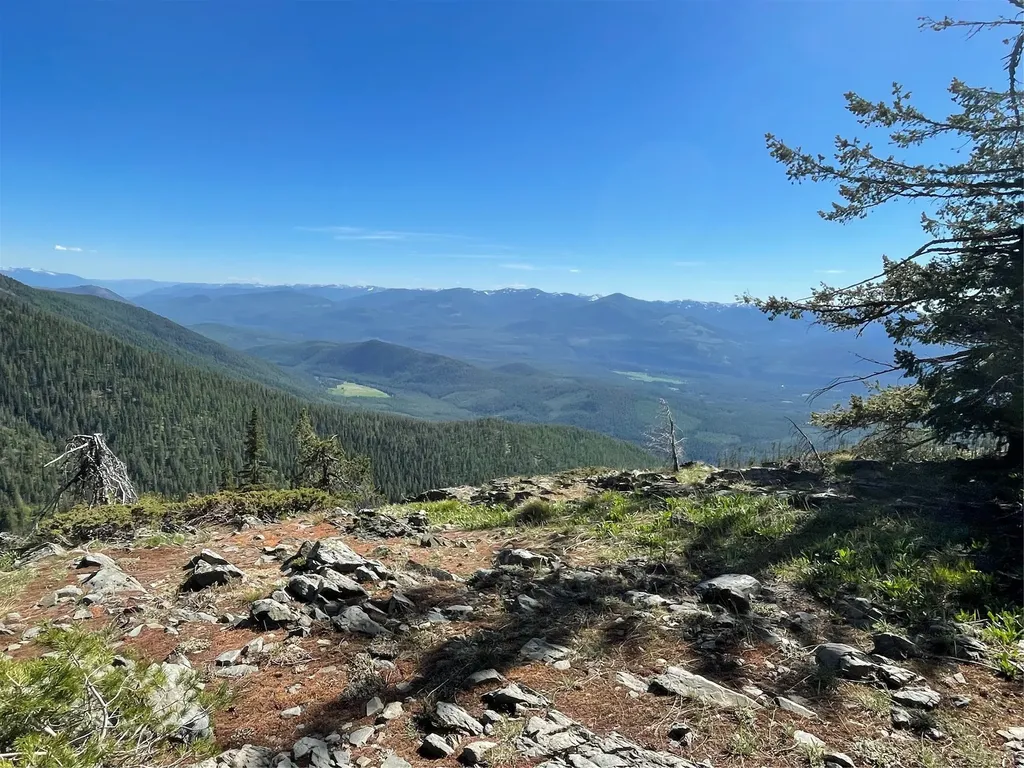 2398 Pine Creek Road Yaak MT 59935