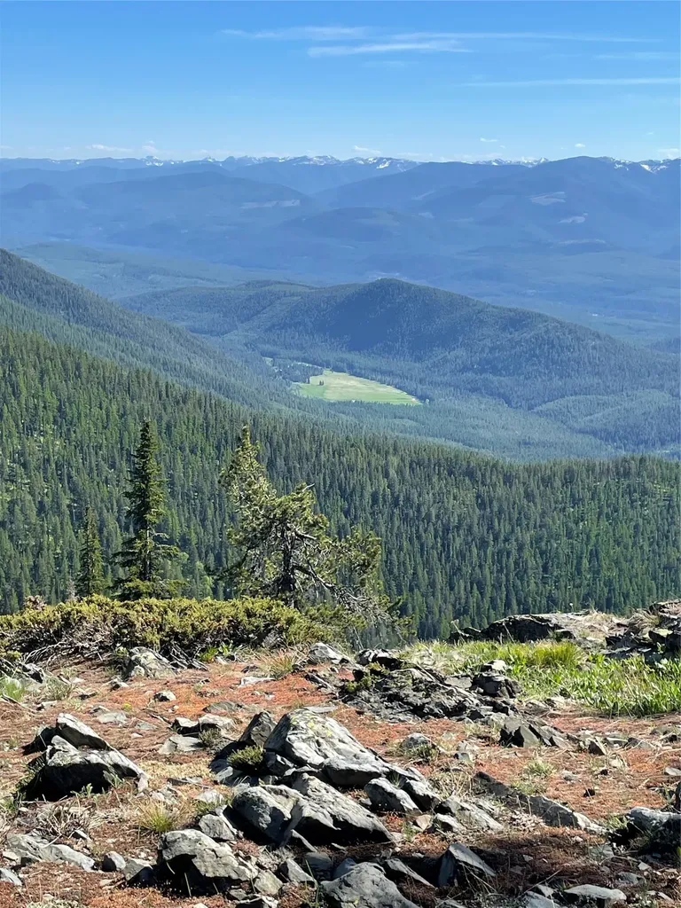 2398 Pine Creek Road Yaak MT 59935