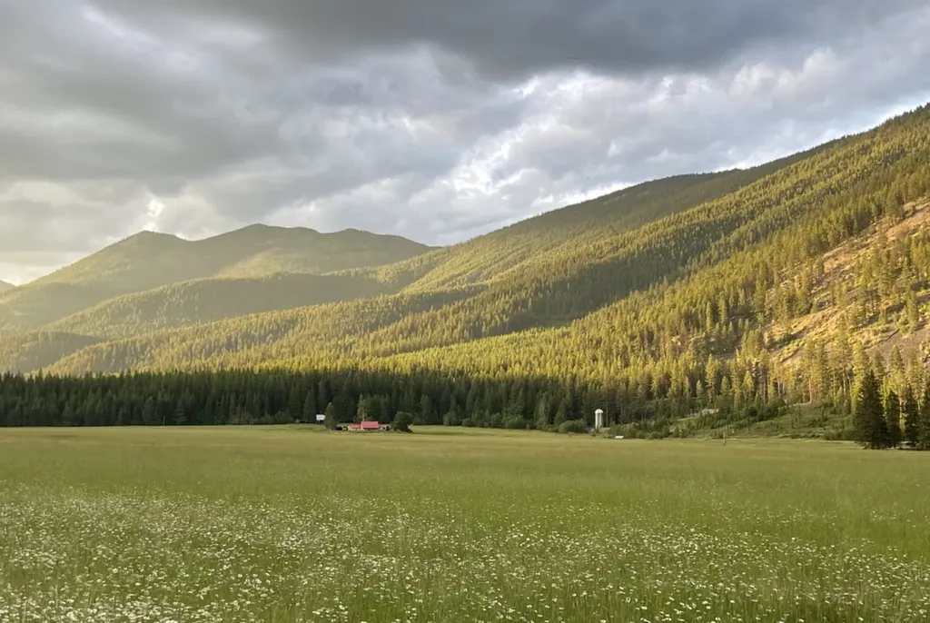 2398 Pine Creek Road Yaak MT 59935