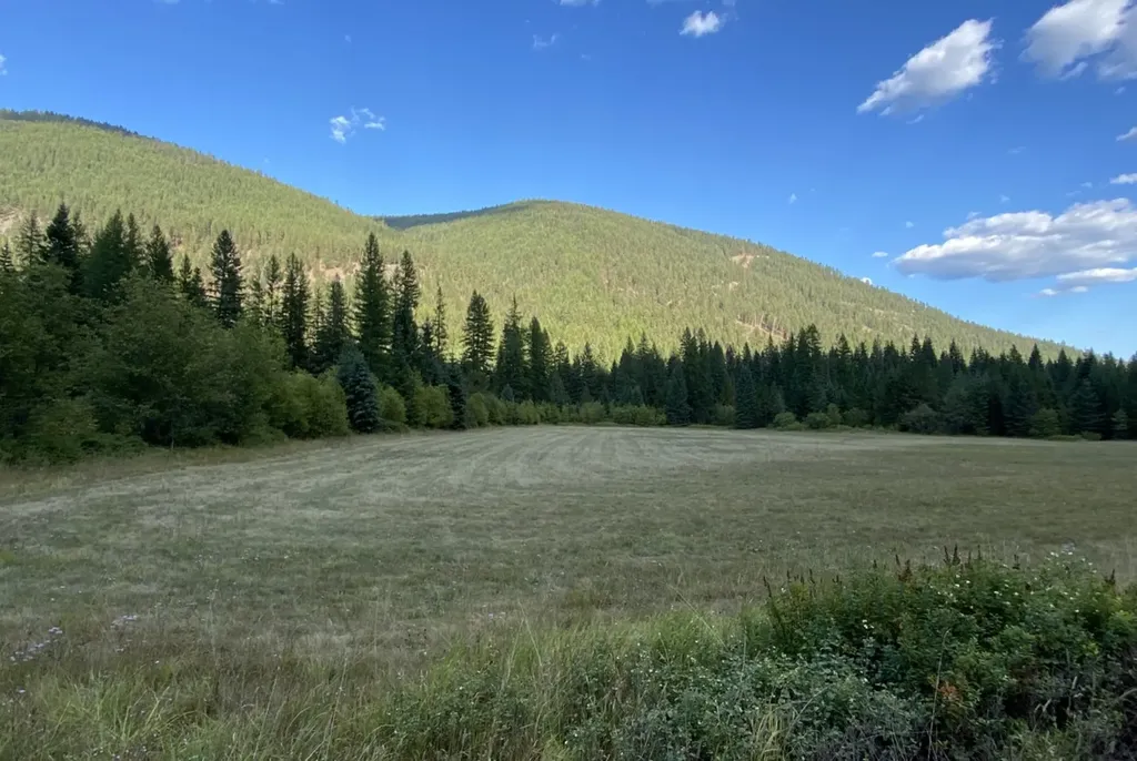 2398 Pine Creek Road Yaak MT 59935