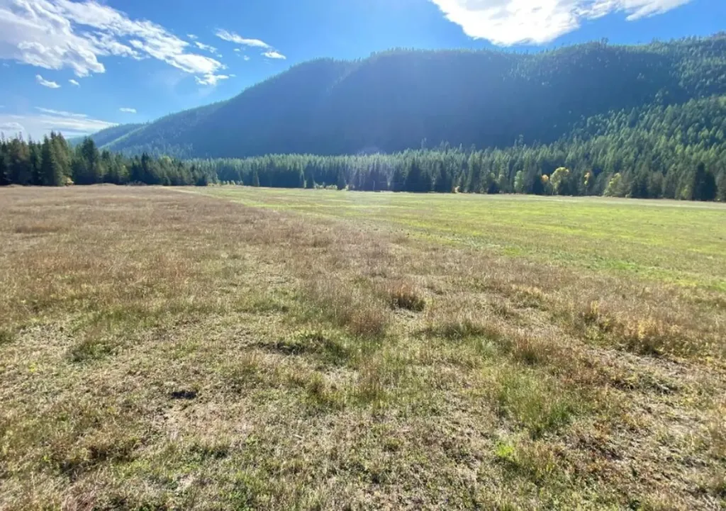2398 Pine Creek Road Yaak MT 59935