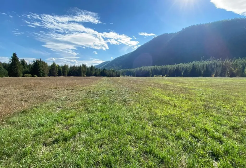 2398 Pine Creek Road Yaak MT 59935