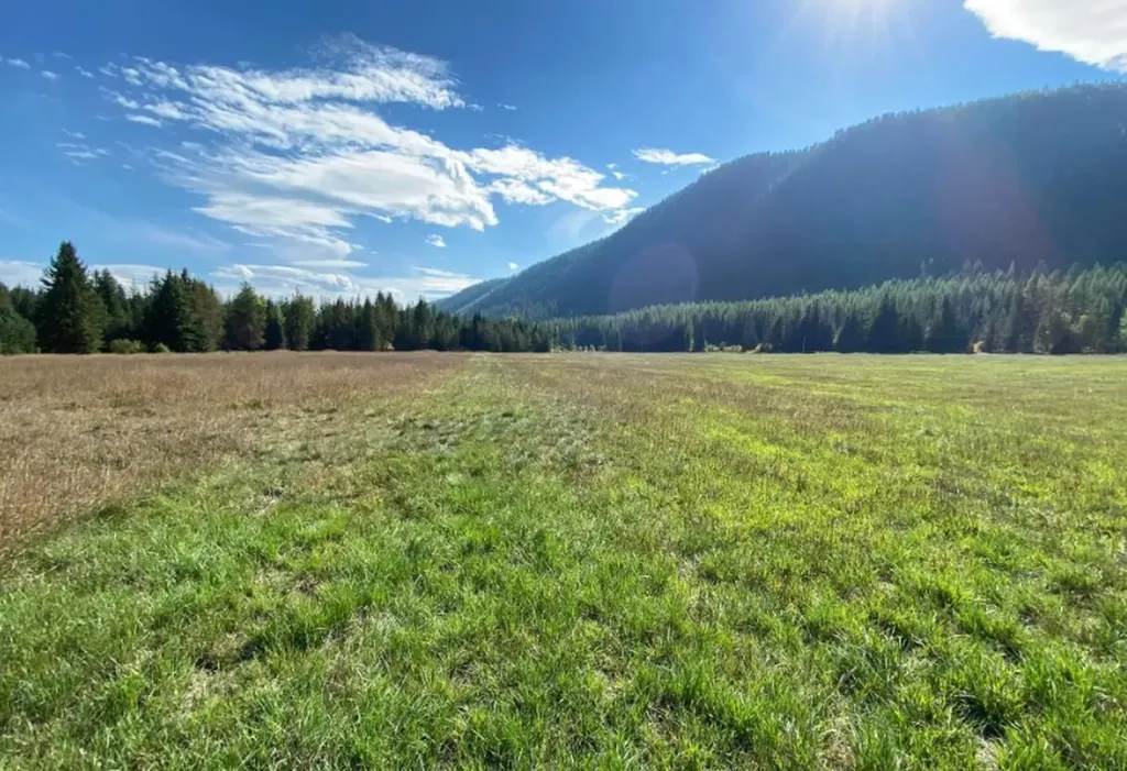 2398 Pine Creek Road Yaak MT 59935