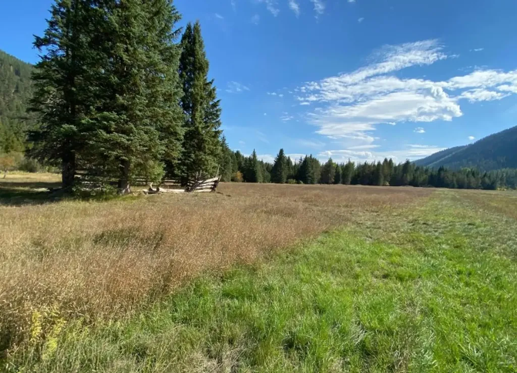 2398 Pine Creek Road Yaak MT 59935