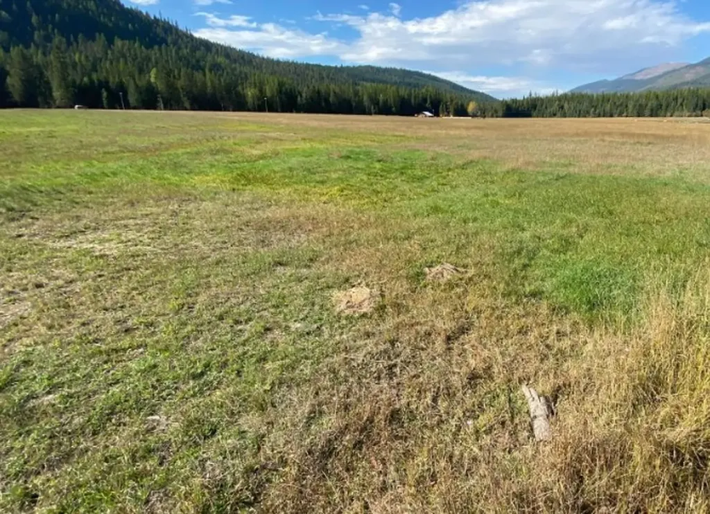 2398 Pine Creek Road Yaak MT 59935