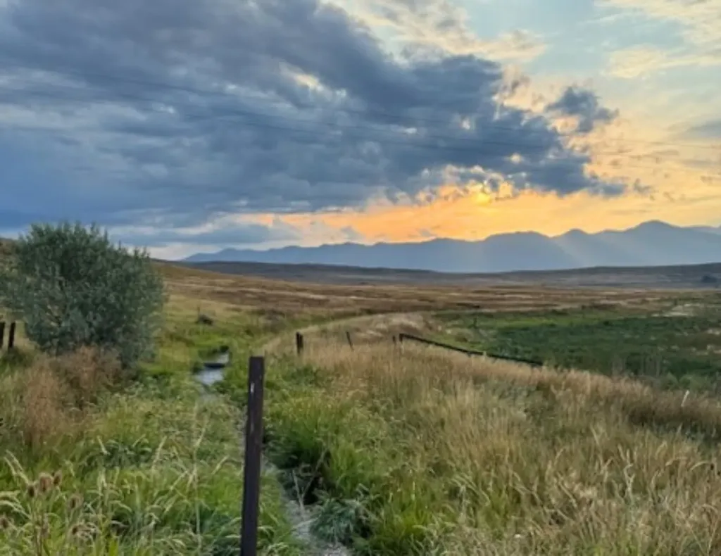 Nhn Eli Gap Road Polson MT 59860