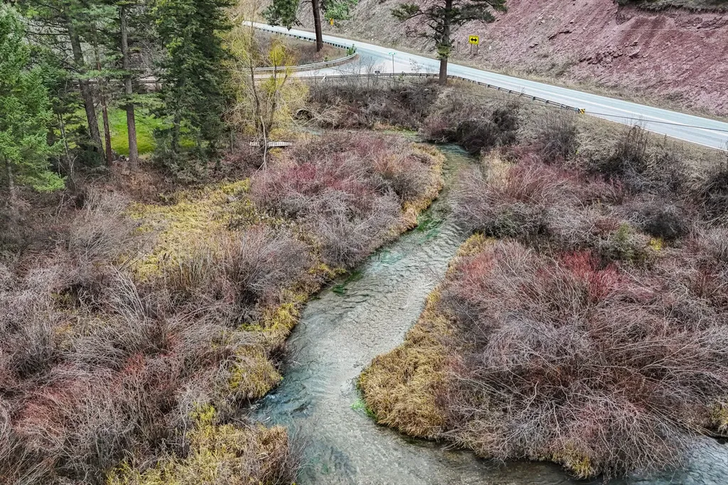 7300 Trout Creek Road Helena MT 59602