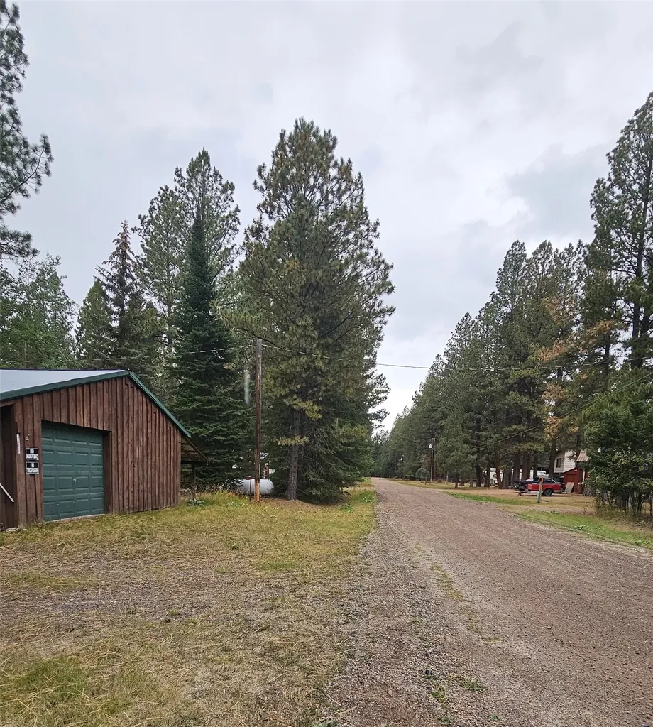 4447 Snow Fleury Lane Lincoln MT 59639