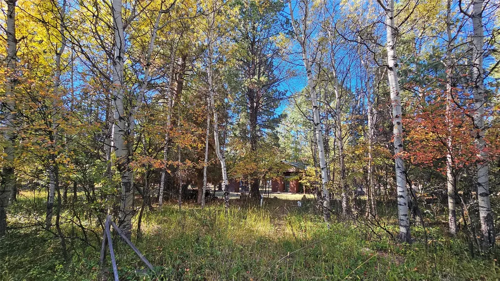 4447 Snow Fleury Lane Lincoln MT 59639