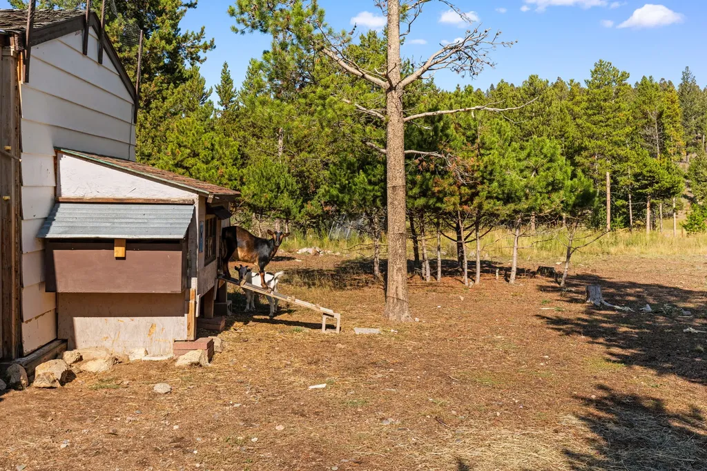 360 Roosevelt Drive Butte MT 59701