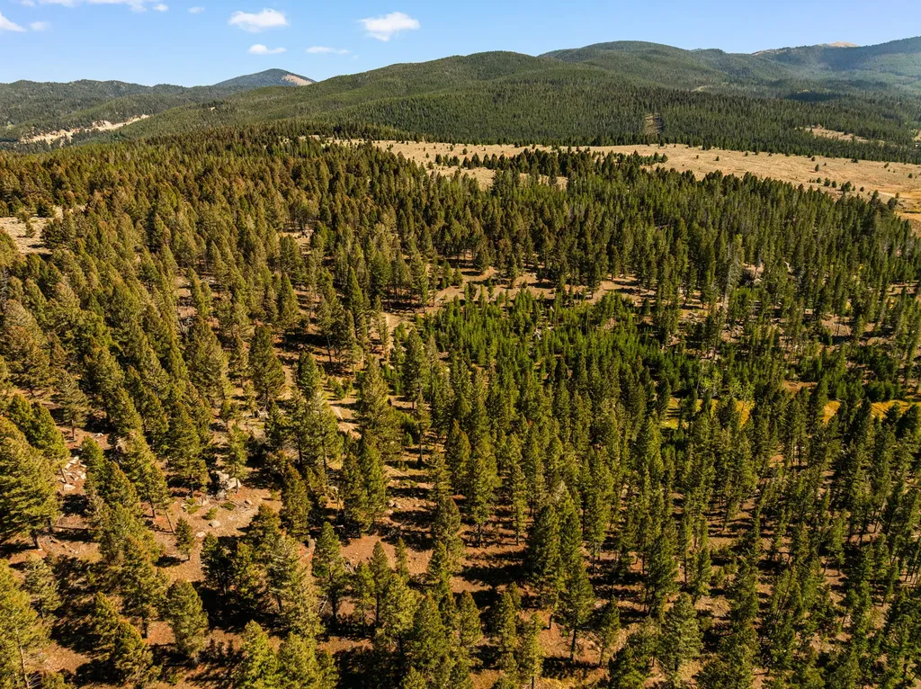 360 Roosevelt Drive Butte MT 59701