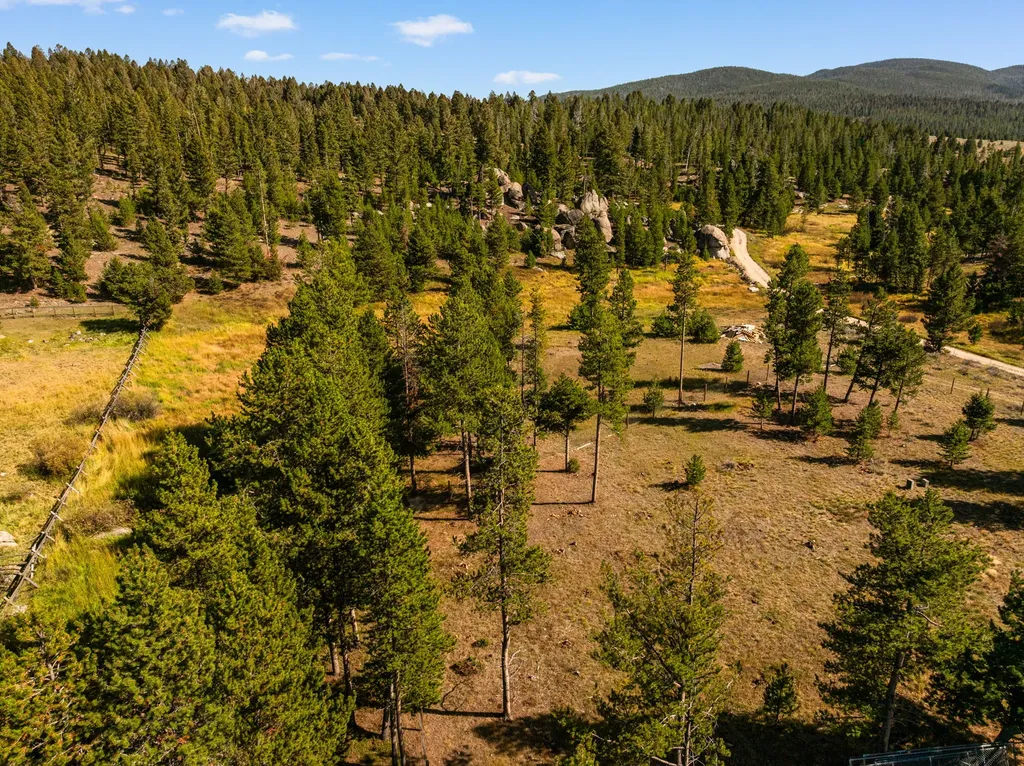 360 Roosevelt Drive Butte MT 59701