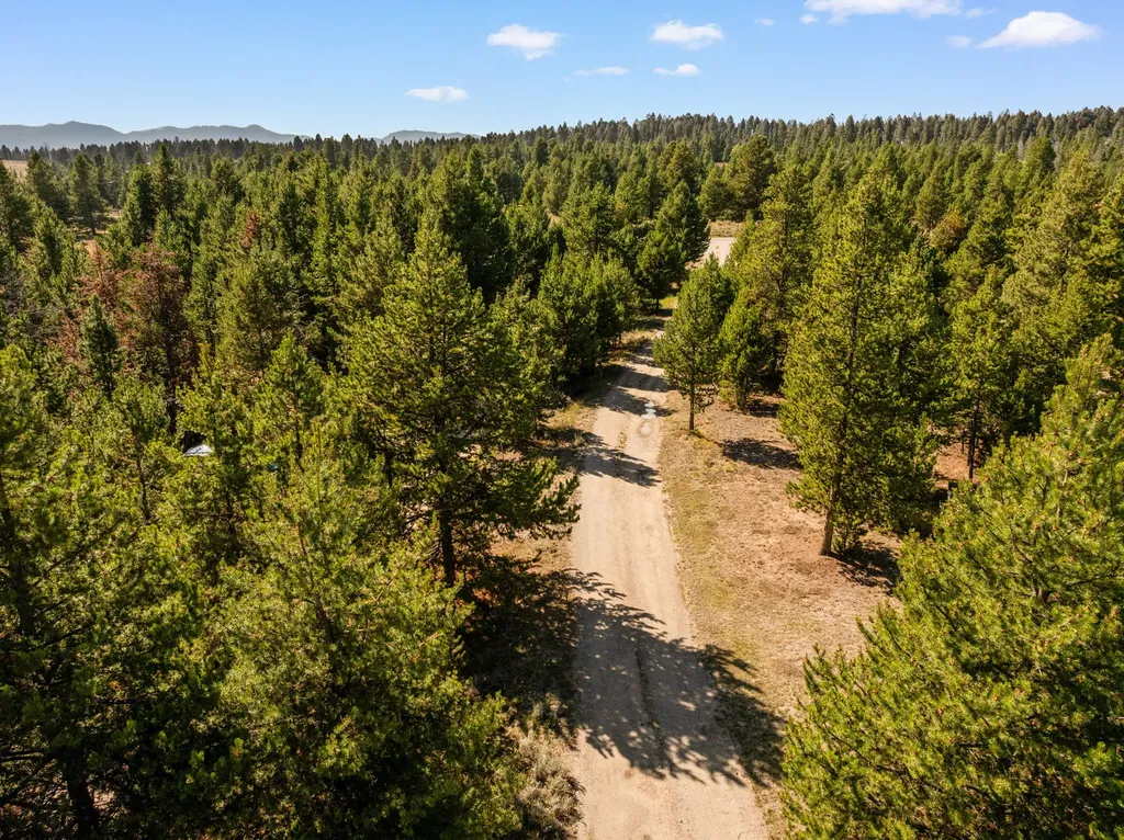 360 Roosevelt Drive Butte MT 59701