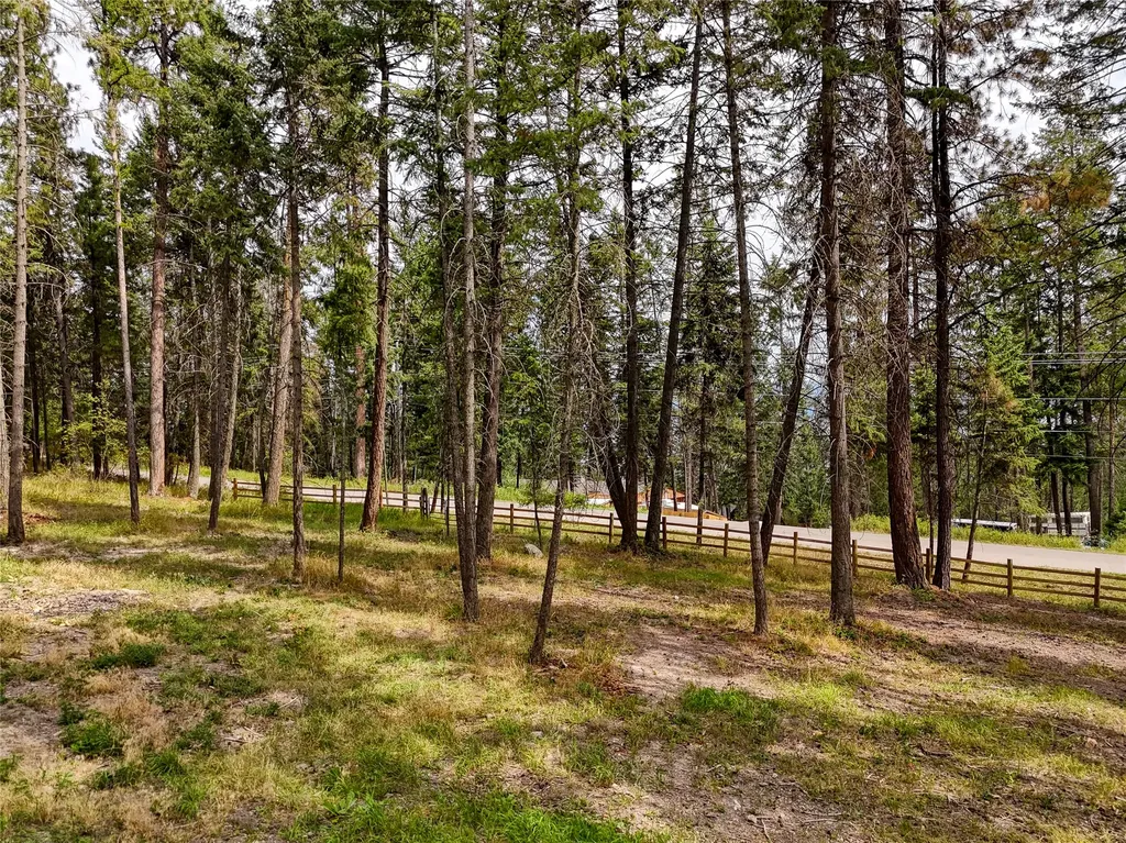 458 Political Hill Road Lakeside MT 59922