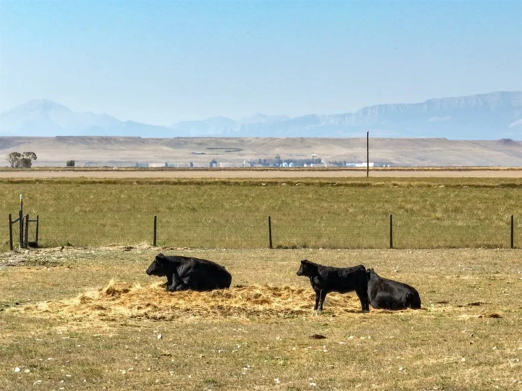 35 Othala Lane Choteau MT 59422