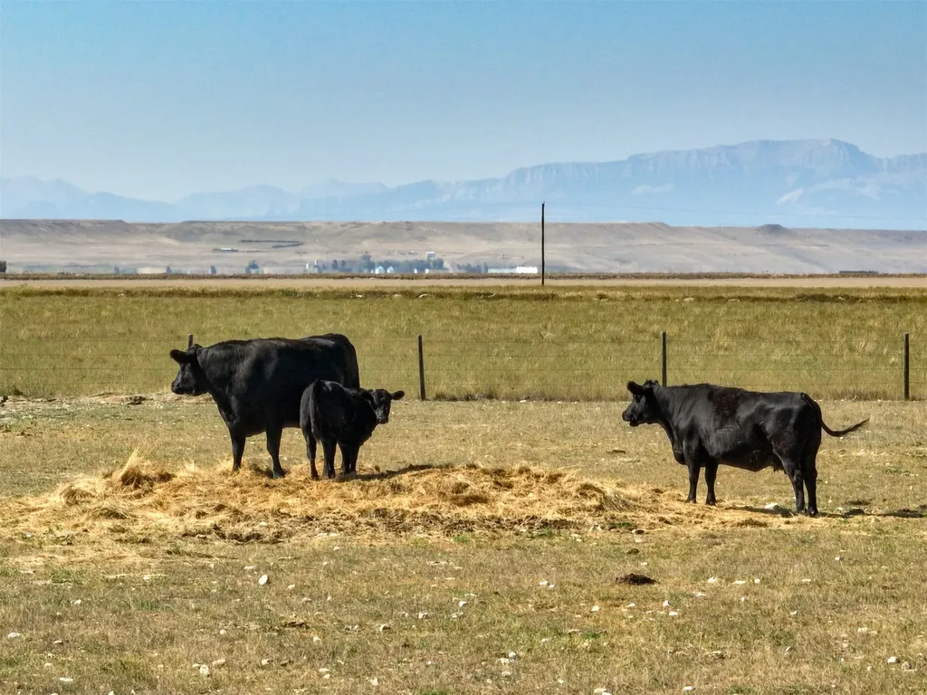 35 Othala Lane Choteau MT 59422