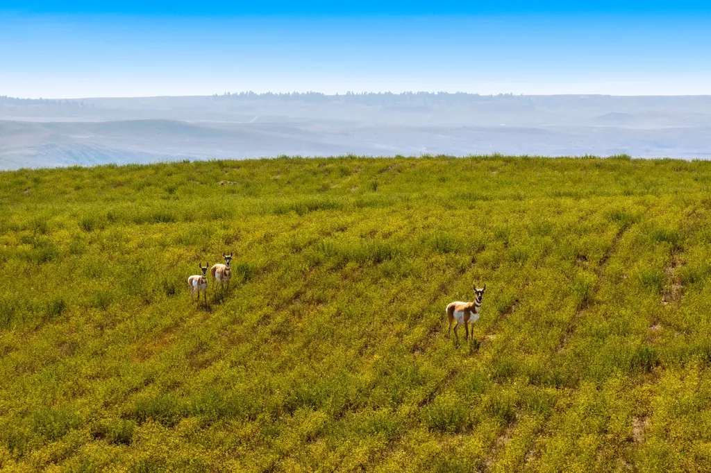 Lot 2 Bear Springs Road Denton MT 59430