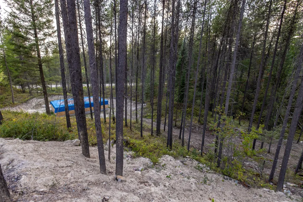 295 Tally Lake Road Whitefish MT 59937