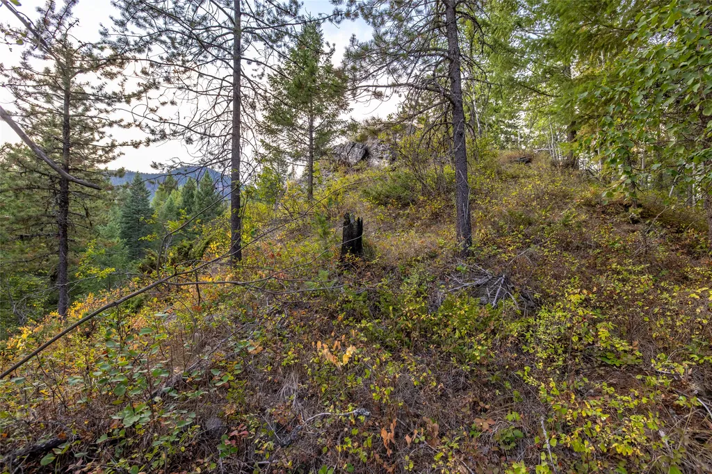 295 Tally Lake Road Whitefish MT 59937