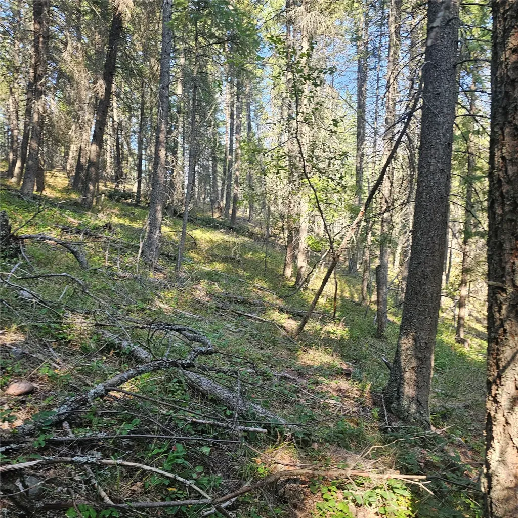 324 Kathy Lake Lane Kalispell MT 59901