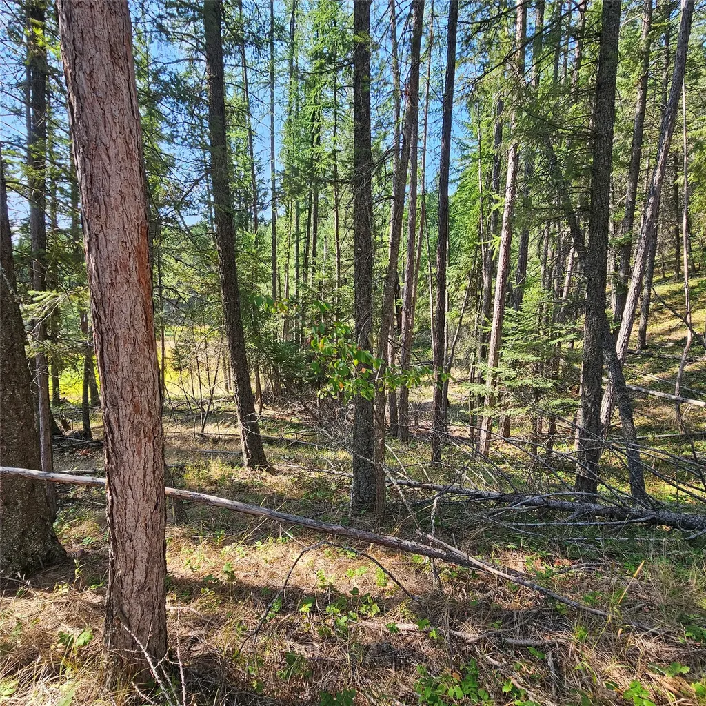 324 Kathy Lake Lane Kalispell MT 59901