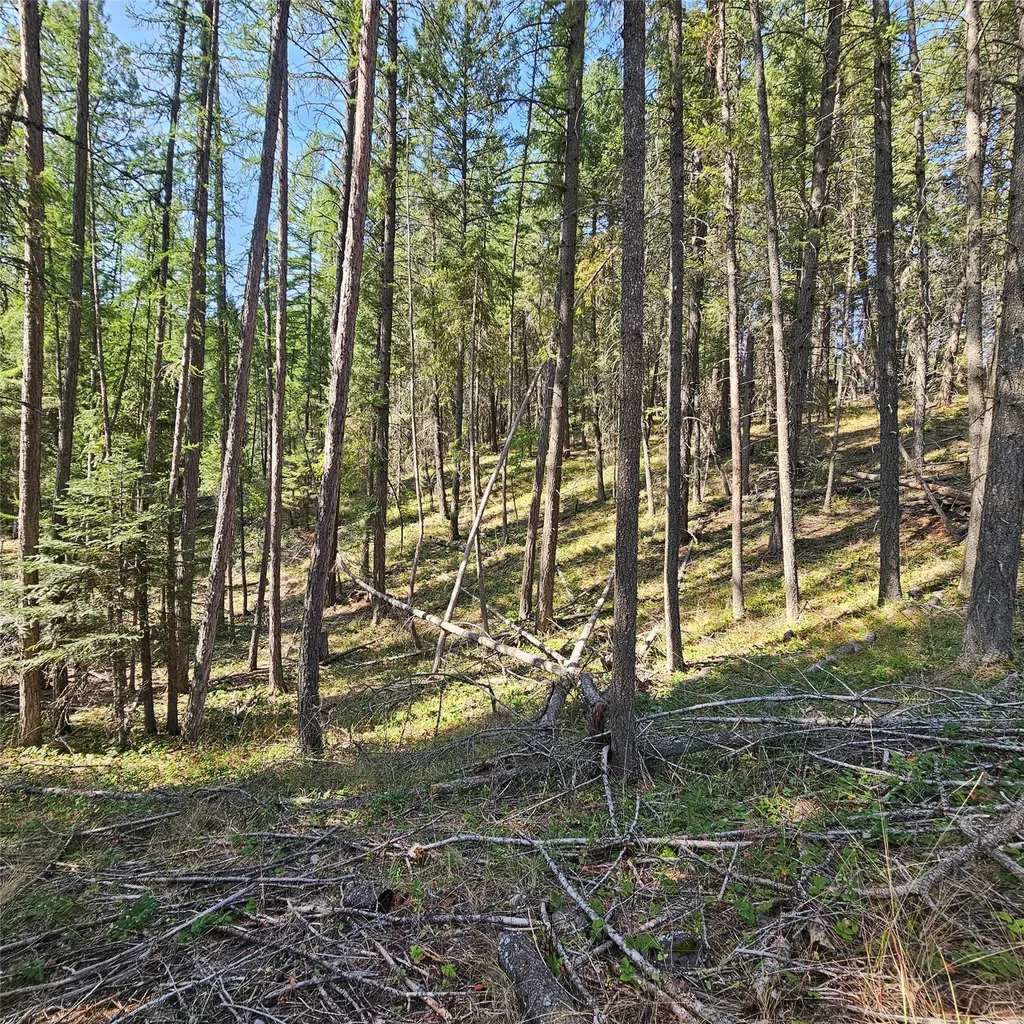 324 Kathy Lake Lane Kalispell MT 59901