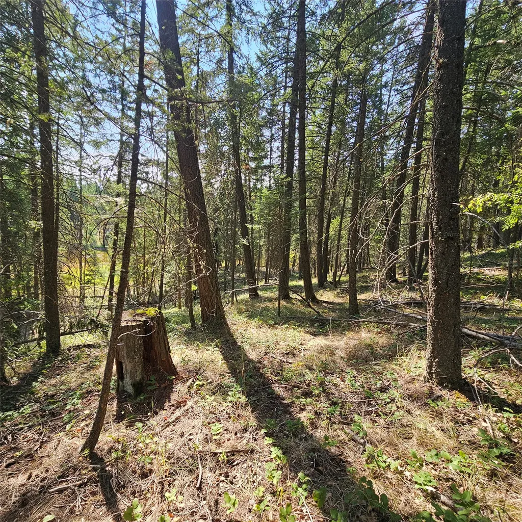 324 Kathy Lake Lane Kalispell MT 59901