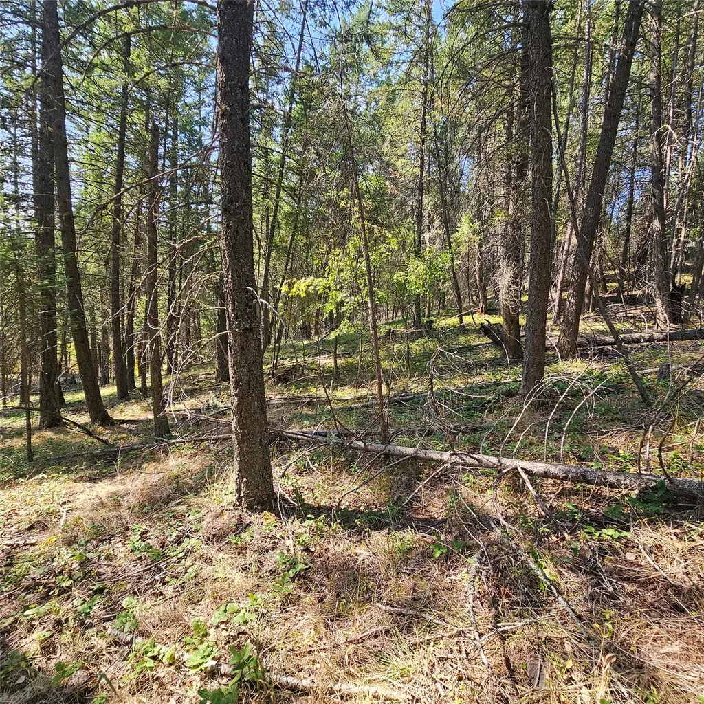 324 Kathy Lake Lane Kalispell MT 59901