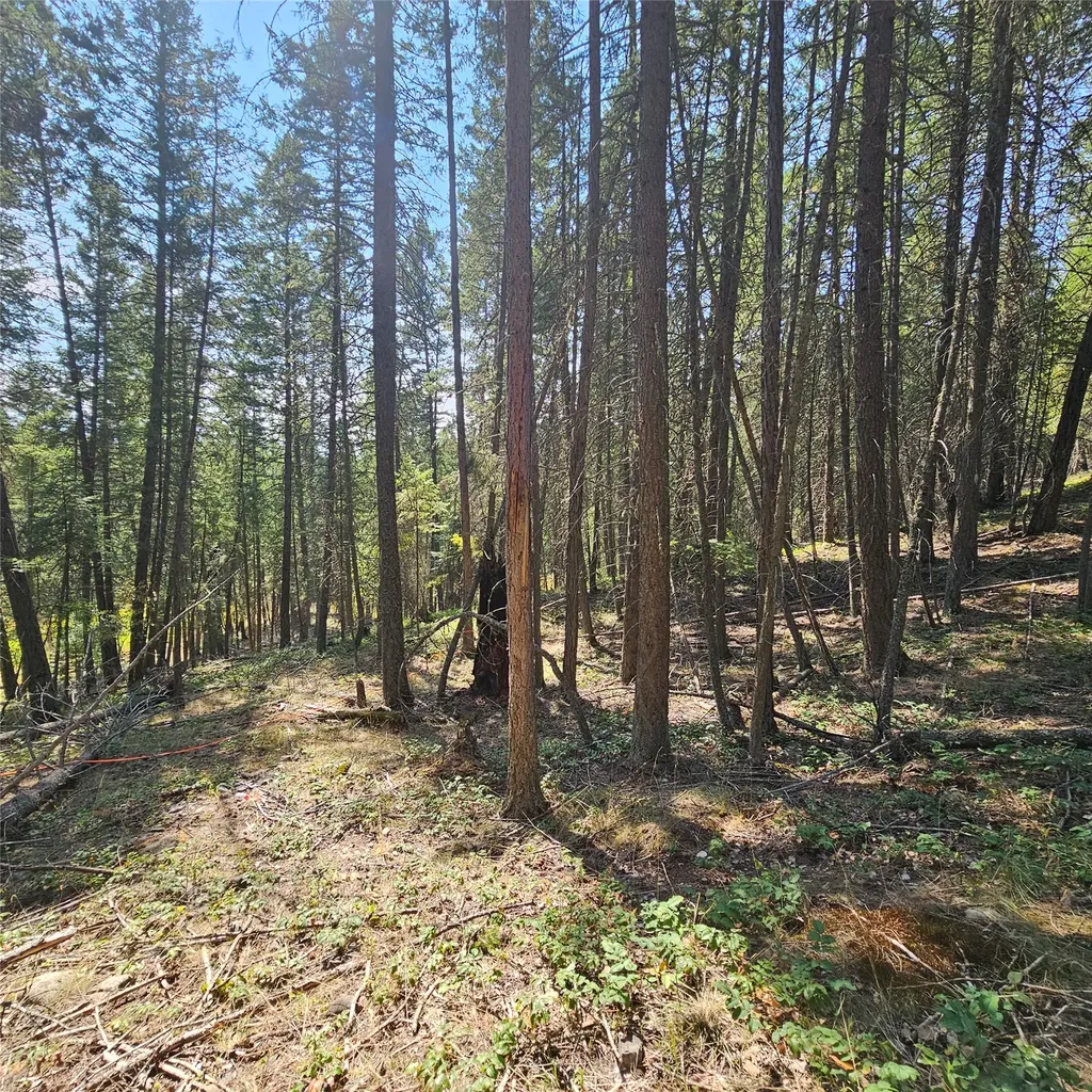 324 Kathy Lake Lane Kalispell MT 59901