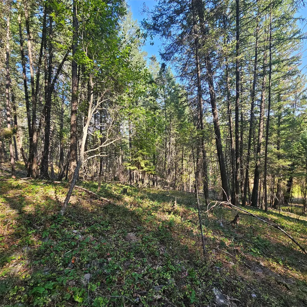 324 Kathy Lake Lane Kalispell MT 59901