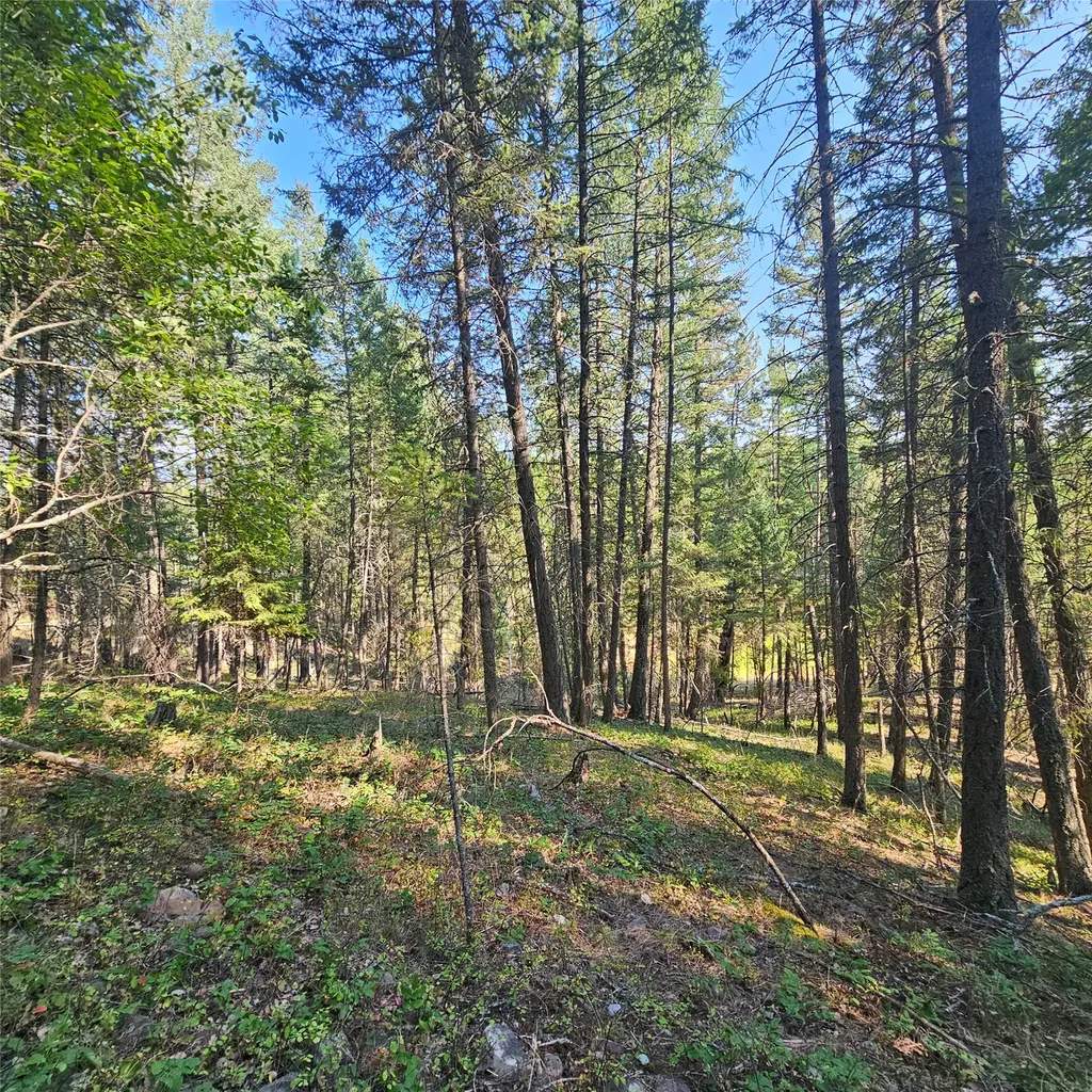 324 Kathy Lake Lane Kalispell MT 59901
