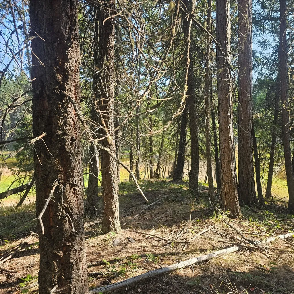 324 Kathy Lake Lane Kalispell MT 59901
