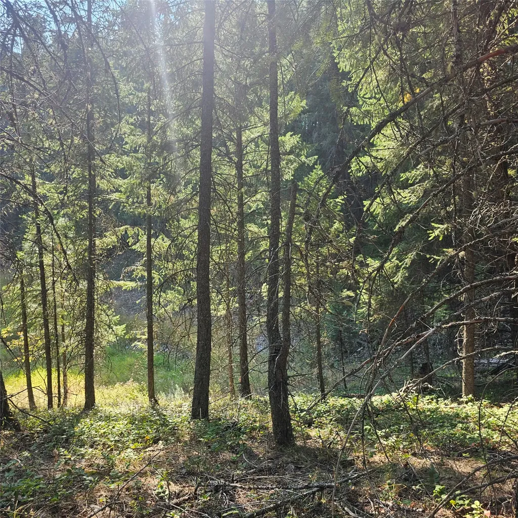 324 Kathy Lake Lane Kalispell MT 59901