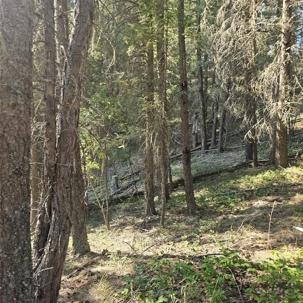 324 Kathy Lake Lane Kalispell MT 59901