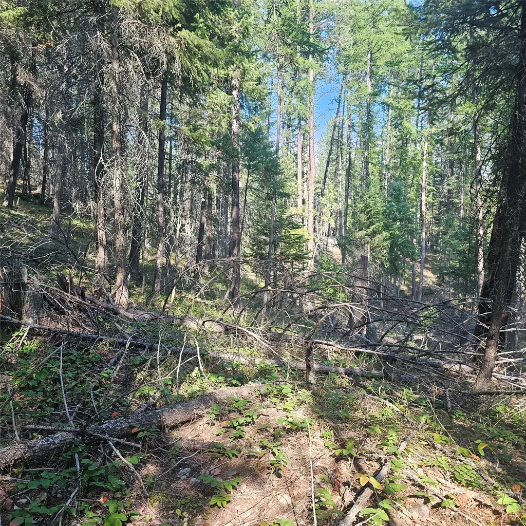 324 Kathy Lake Lane Kalispell MT 59901