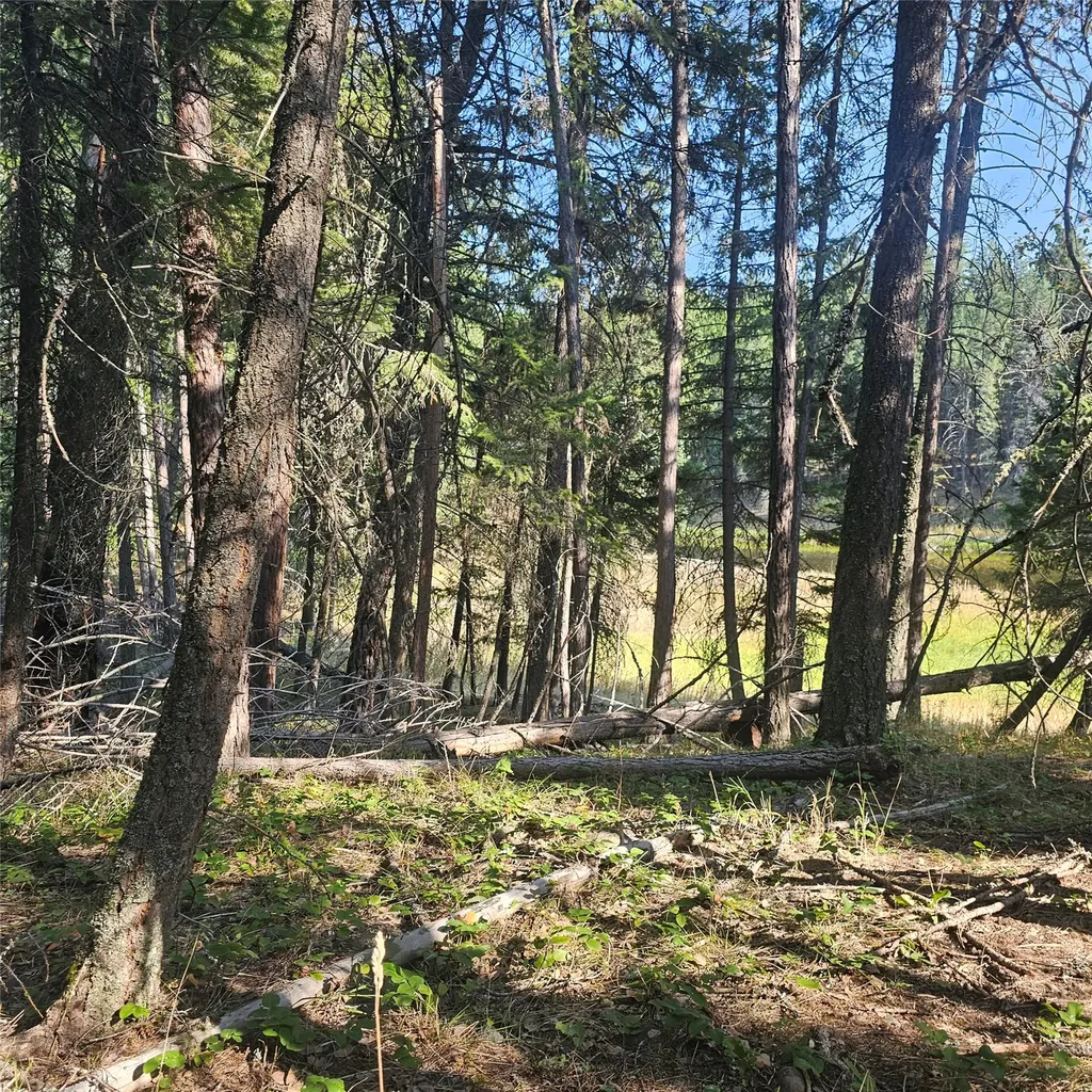 324 Kathy Lake Lane Kalispell MT 59901