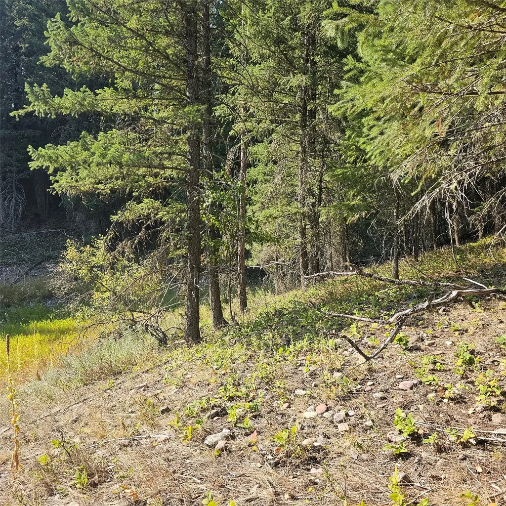 324 Kathy Lake Lane Kalispell MT 59901