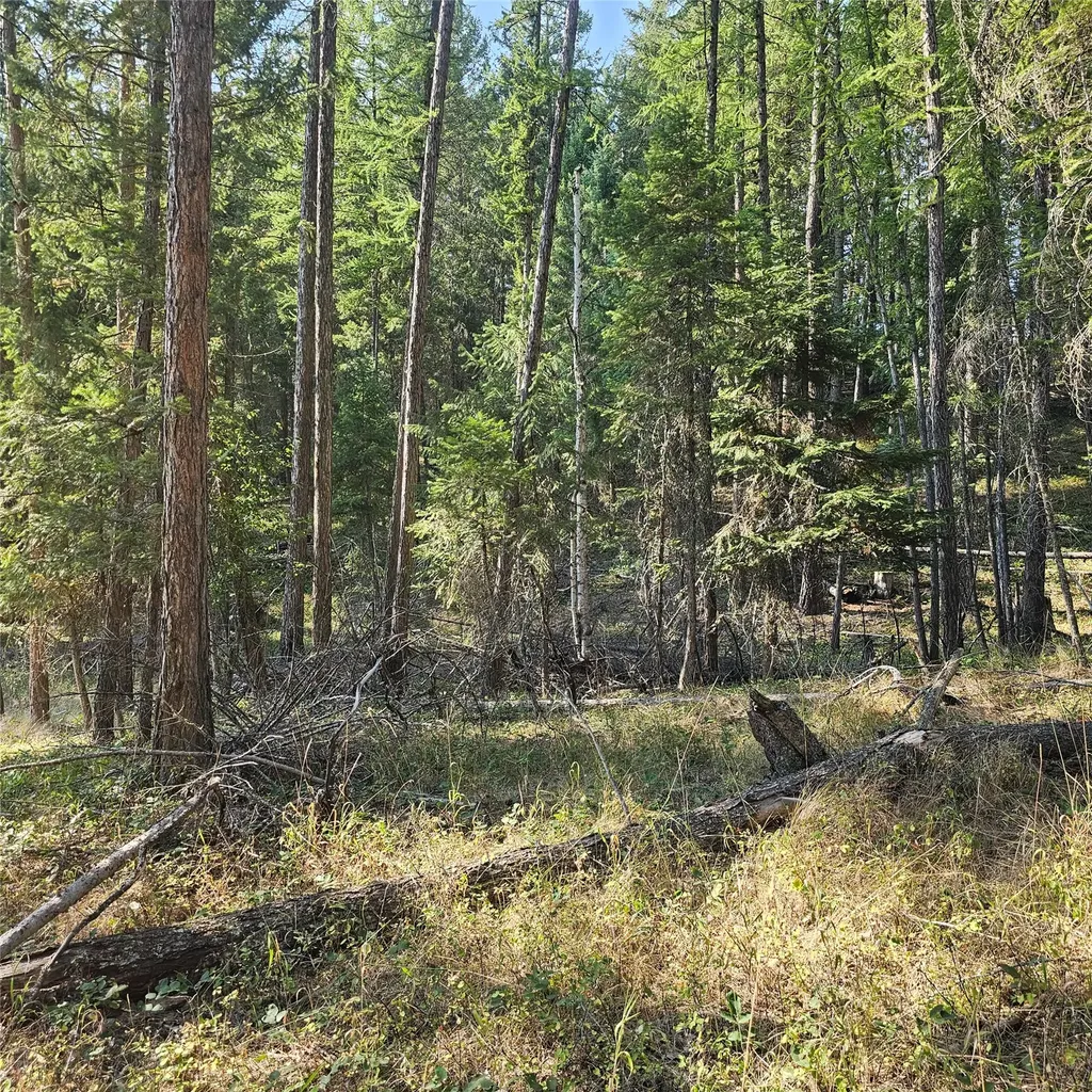 324 Kathy Lake Lane Kalispell MT 59901