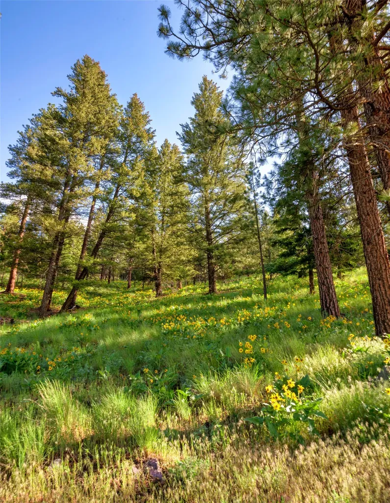 Nhn Bonita Station Road Clinton MT 59825