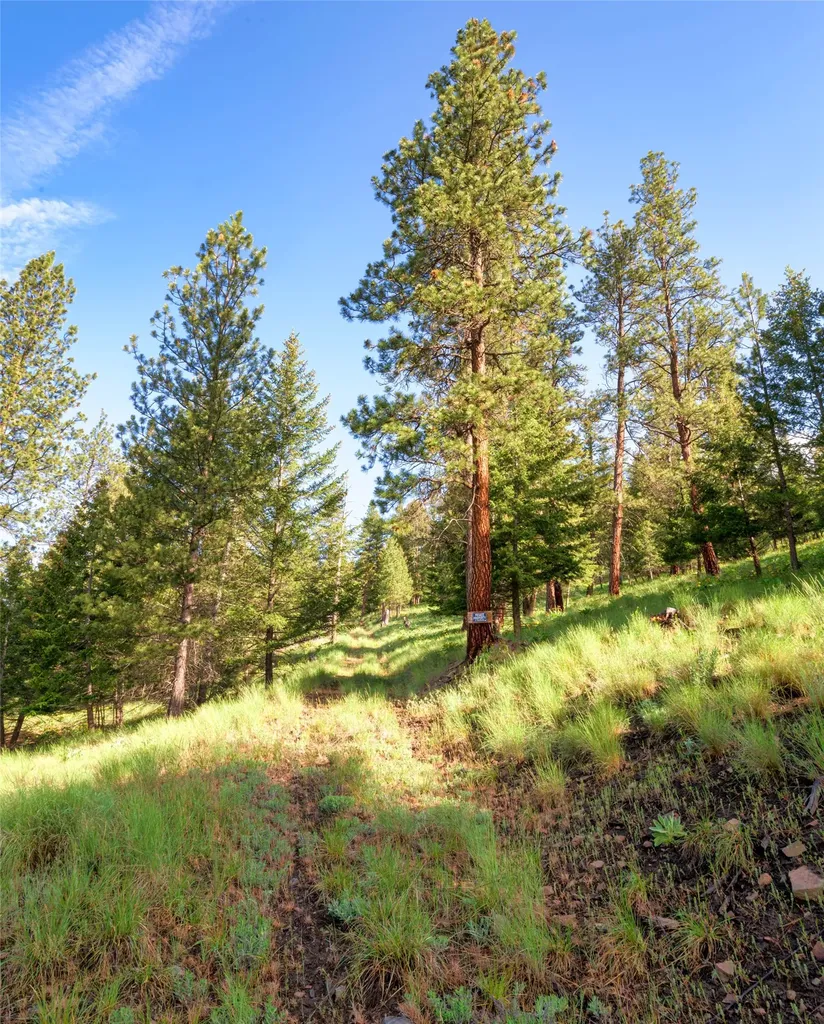 Nhn Bonita Station Road Clinton MT 59825