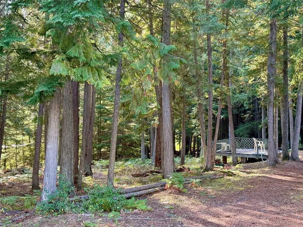 749 Halo Drive Troy MT 59935
